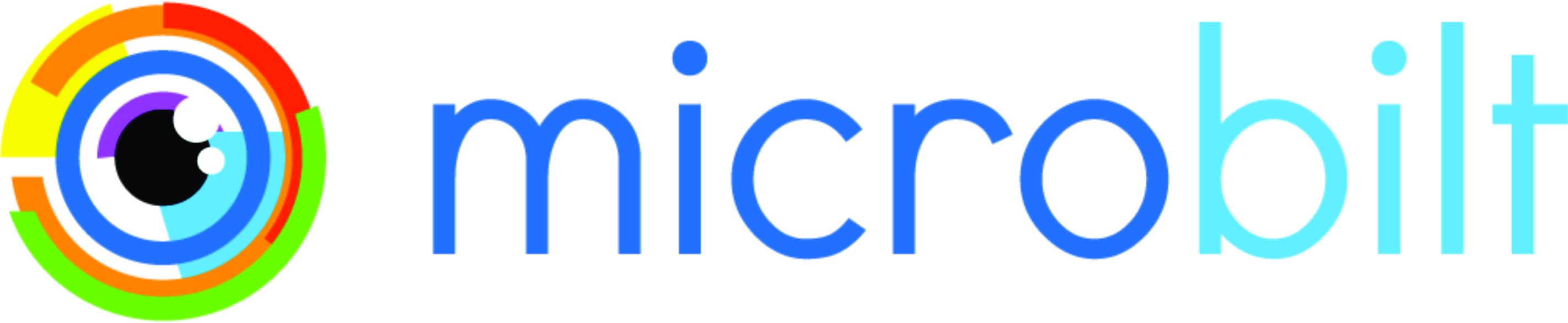 Logo Microbilt